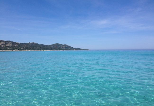 Appartement à Saint-Florent - MOR102 - Appartement vue mer - 100m de la plage 