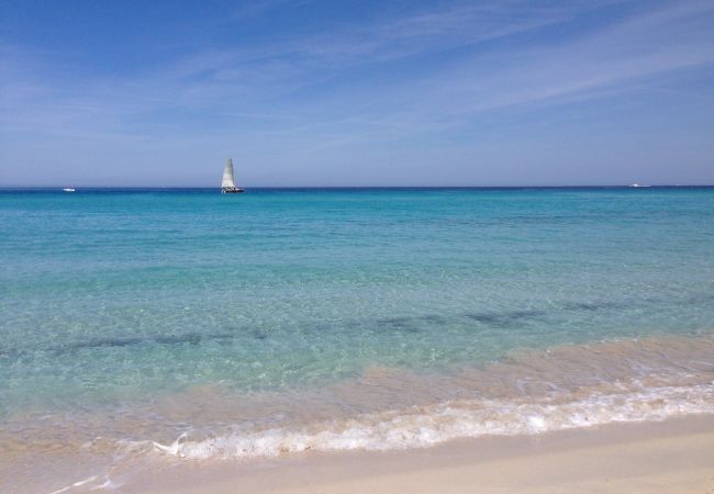 Appartement à Saint-Florent - MOR102 - Appartement vue mer - 100m de la plage 