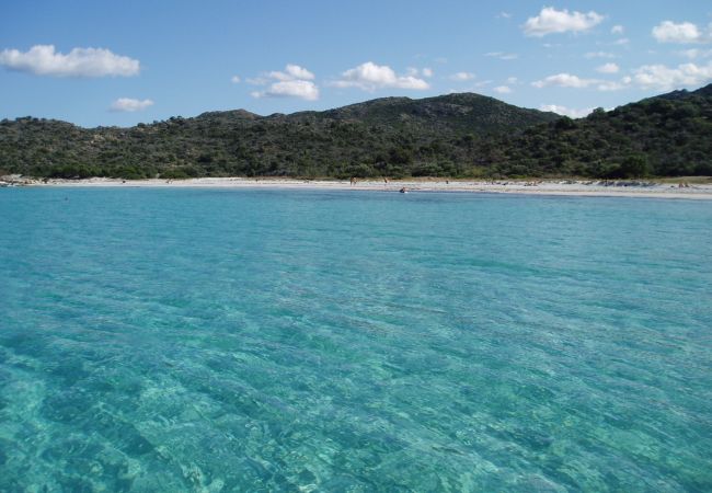 Appartement à Saint-Florent - MORTELLA 405