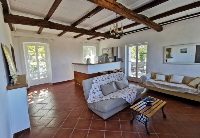 Appartement à Patrimonio - T2 Palazzo Patrimonio
