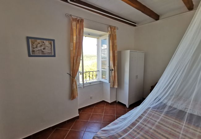 Appartement à Patrimonio - T2 Palazzo Patrimonio