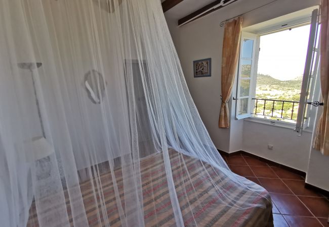 Appartement à Patrimonio - T2 Palazzo Patrimonio