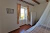 Appartement à Patrimonio - T2 Palazzo Patrimonio