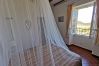 Appartement à Patrimonio - T2 Palazzo Patrimonio
