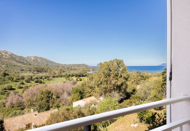 Appartement à Saint-Florent - T4 St Florent vue mer - Fromontica