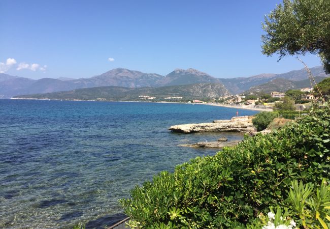 Maison mitoyenne à Saint-Florent - Maison pieds dans l'eau St Florent 